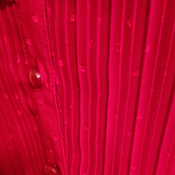 Pretty Career Chiffon Blouse and Cami Set in Cranberry Red - Picture 6 of 10